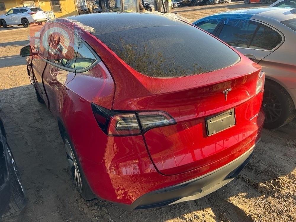 تسلا موديل Y